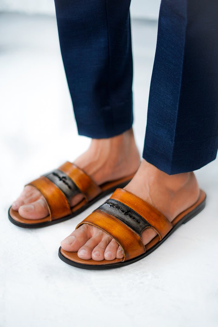 Tan Slides